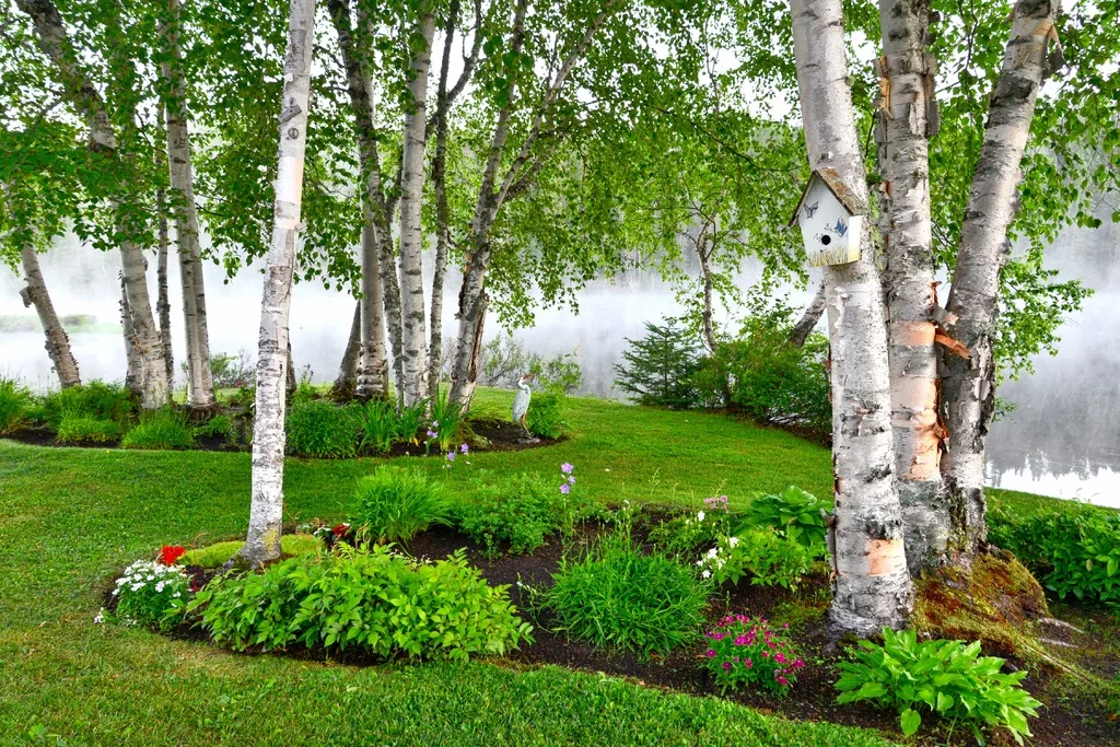featured image - Are Your Yard and Garden Looking a Little Weary These Tips Might Help!