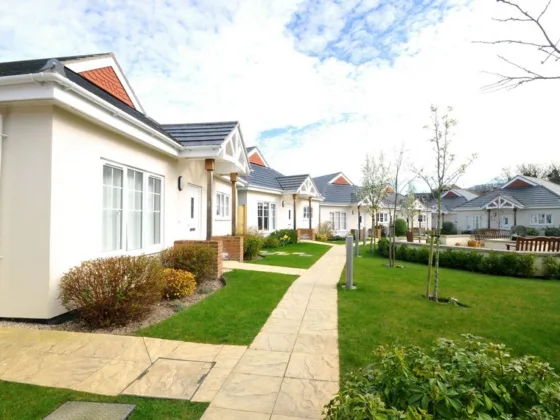 featured image - How to Achieve Successful Aging Independently