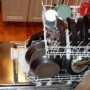 featured image - How to Shop for the Best Commercial Dishwasher Things to Look for