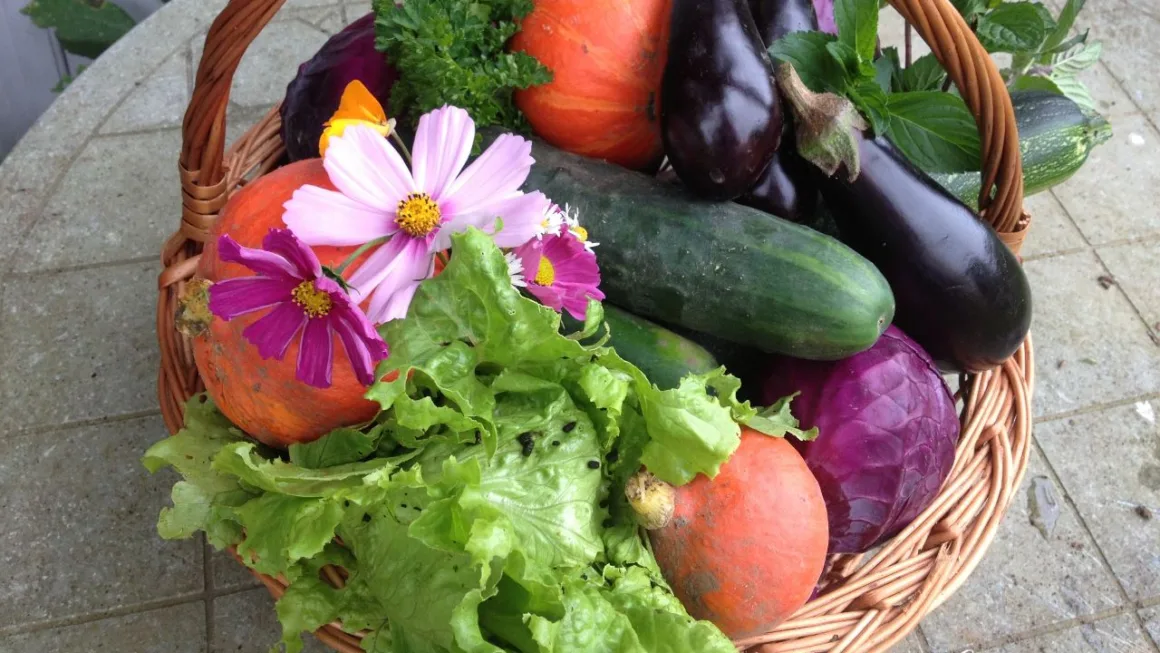 featured image - How to Take Care of Your Vegetable Garden