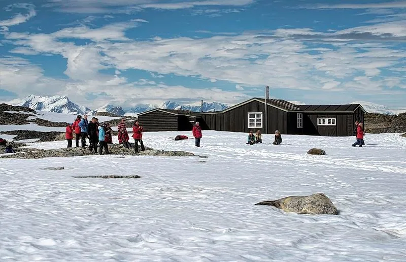 featured image - Appliances You Need to Survive the Long Island’s Winter