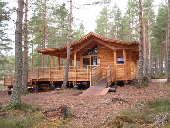 featured image - 4 Tips for Designing the Perfect Hunting Cabin