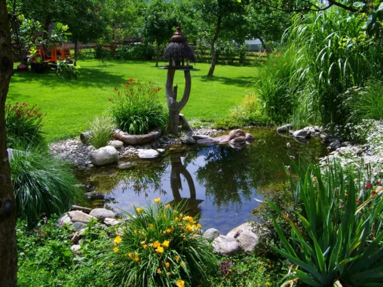 featured image - Check Out 7 Low Water Landscaping Ideas for a Beautiful and Sustainable Yard