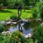 featured image - Check Out 7 Low Water Landscaping Ideas for a Beautiful and Sustainable Yard