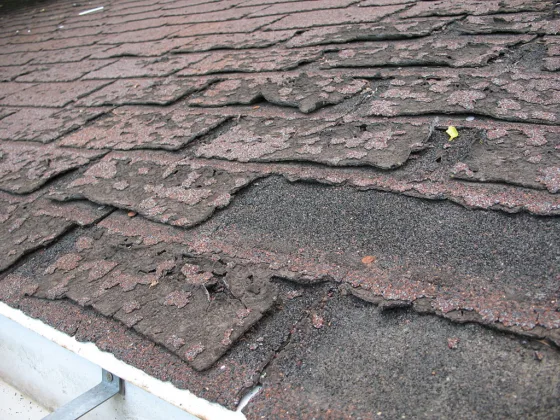 featured image - How Do I Know If I Need A Roof Symptoms To Look for When It’s Time for A New Roof