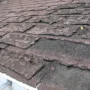 featured image - How Do I Know If I Need A Roof Symptoms To Look for When It’s Time for A New Roof
