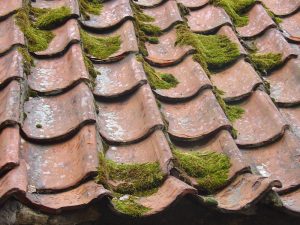 Tell-Tale Signs That Your Roof is Leaking