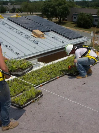 featured image - Three Benefits o 'Going Green' In Roofing and Contracting