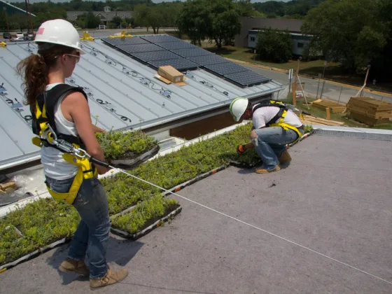 featured image - Three Benefits o 'Going Green' In Roofing and Contracting