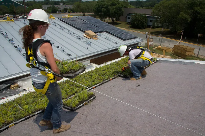 featured image - Three Benefits o 'Going Green' In Roofing and Contracting