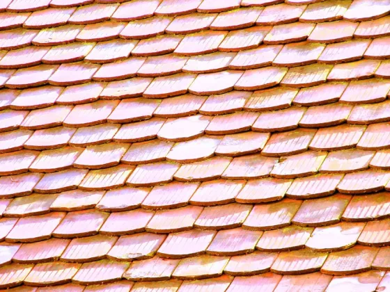 featured image - What Color of Roof Shingles is Best