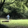 featured image - What is Better Straight or Curved Weed Wacker