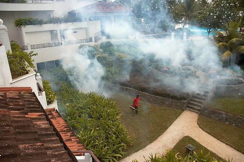 featured image - Effective Ways to Control Pest at Home