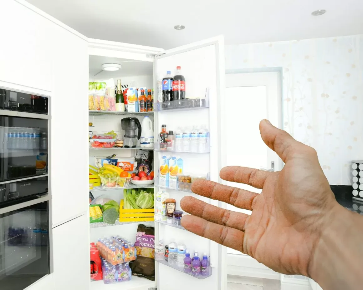 Featured image - 5 Cool Benefits of 4-Door Refrigerators