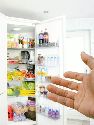 Featured image - 5 Cool Benefits of 4-Door Refrigerators