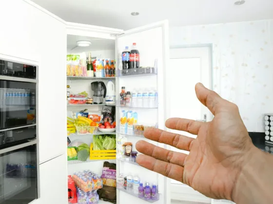 Featured image - 5 Cool Benefits of 4-Door Refrigerators
