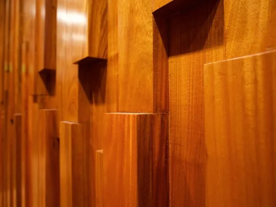 featured image - What You Need to Know About Timber Feature Walls