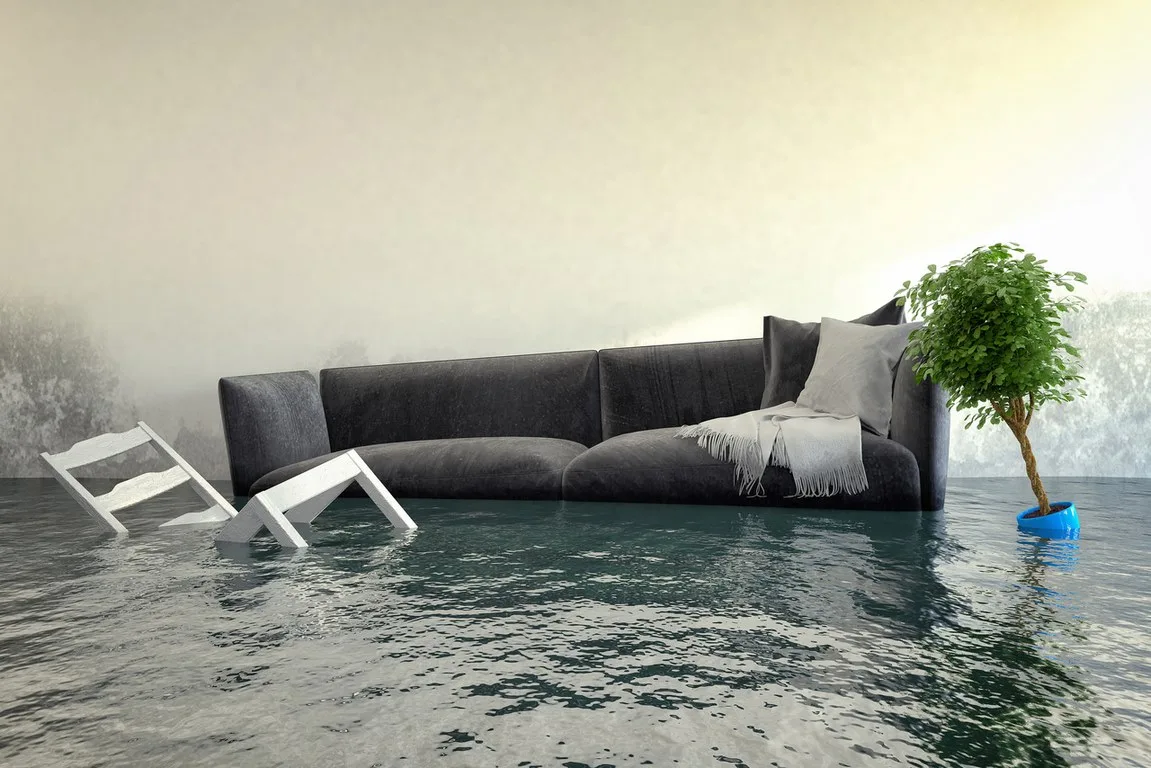 featured image - What Happens Throughout the Water Damage Removal Process?