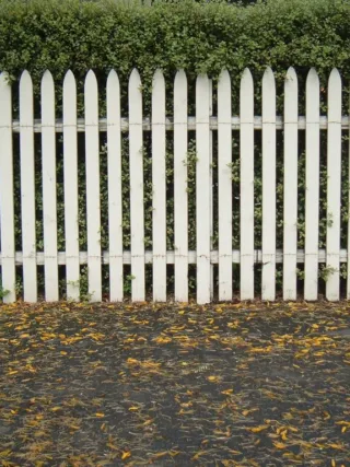 featured image - Guides and Helpful Tips on Choosing the Best Fence for your Home and Property
