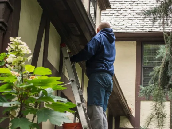 featured image - Local Recommendations for Gutter Cleaning in Elgin, IL