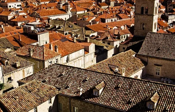 featured image - How to Find the Best Roof Painting Specialist in Sydney?