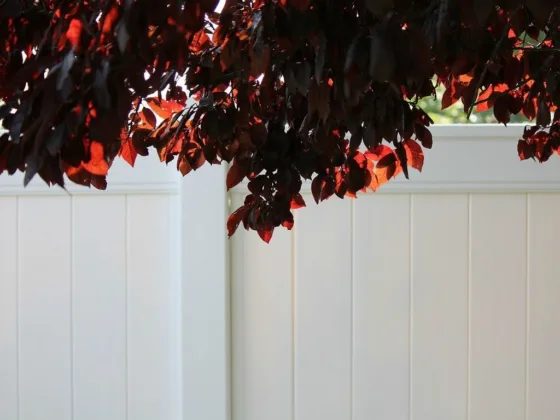 featured image - How to Go About Buying and Building a Vinyl Fence
