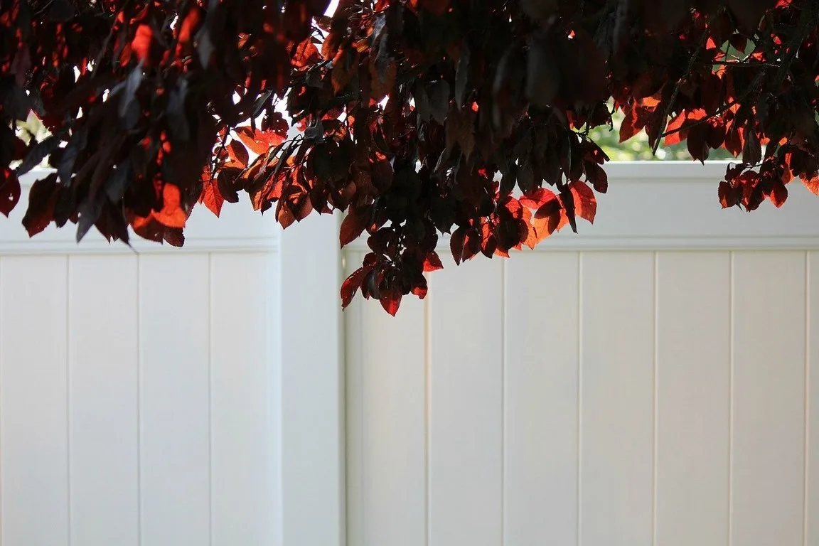 featured image - How to Go About Buying and Building a Vinyl Fence