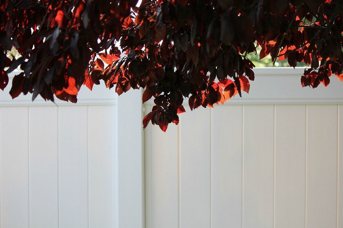 image - How to Go About Buying and Building a Vinyl Fence
