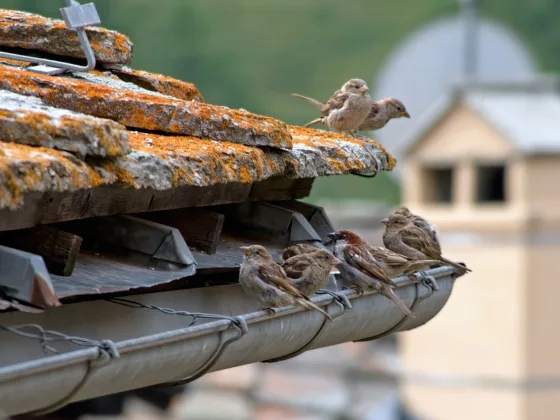 featured image - 5 Steps to Ensuring You Have a Clean Water Tank