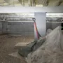 featured image - Steps to Prepare for Crawl Space Encapsulation | Homeowner's Guide