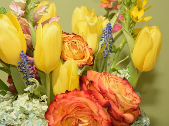 featured image - The Advantages and Disadvantages of Online Florists