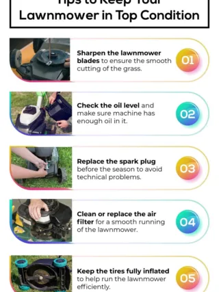 featured image - Tips to Take Care and Maintain the Lawn Mower