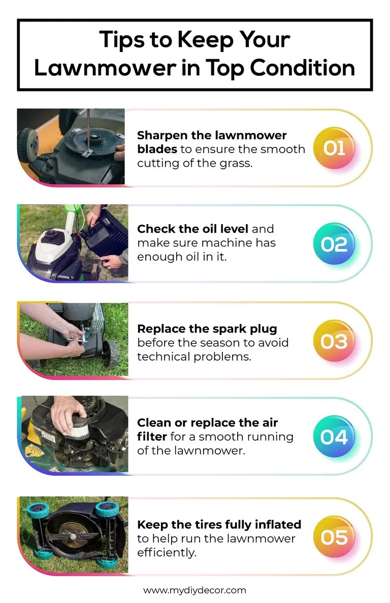 featured image - Tips to Take Care and Maintain the Lawn Mower