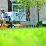 featured image - What Good Can You Expect by Taking Up a Lawn Care Franchise?