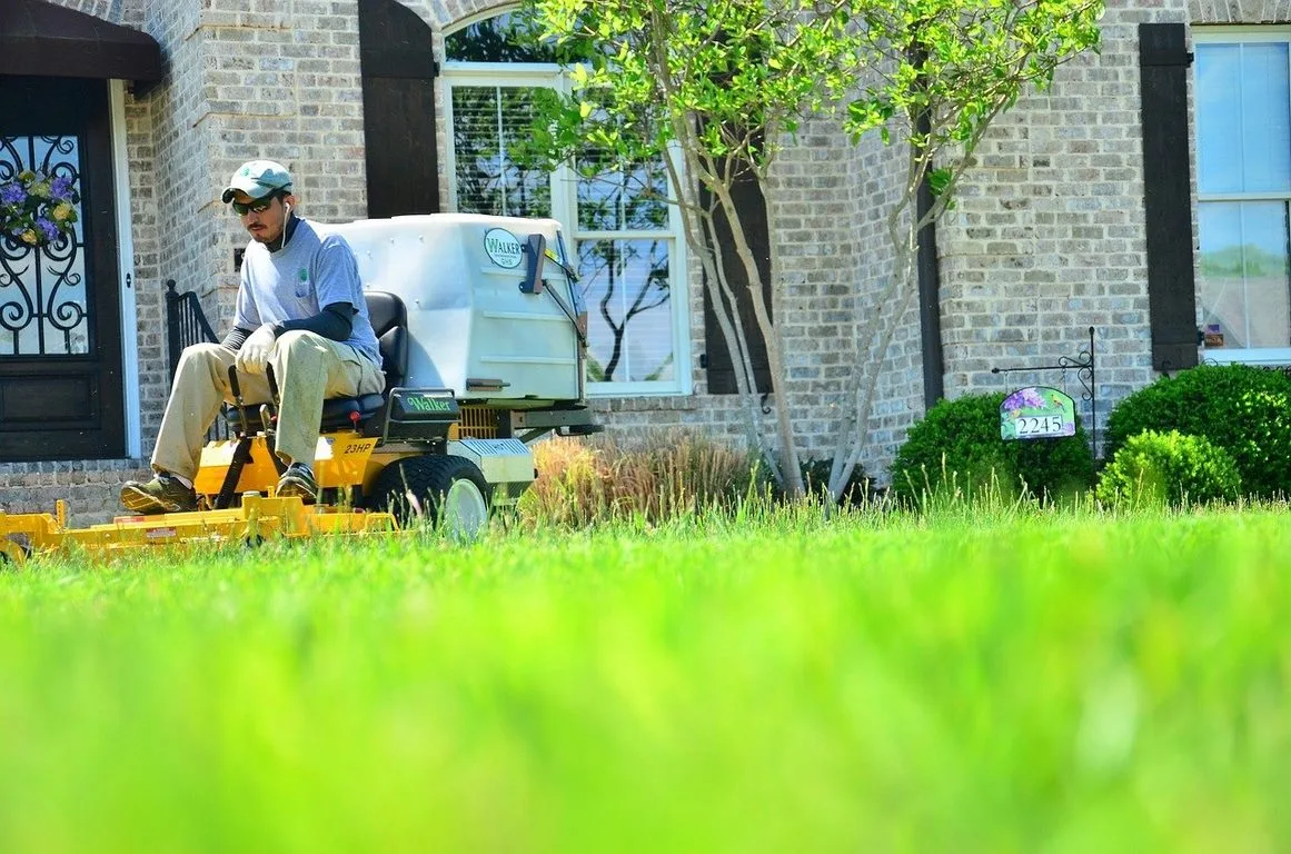 featured image - What Good Can You Expect by Taking Up a Lawn Care Franchise?