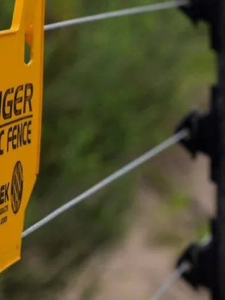 featured image - 4 Benefits of Installing Electric Fences Around Your Farm
