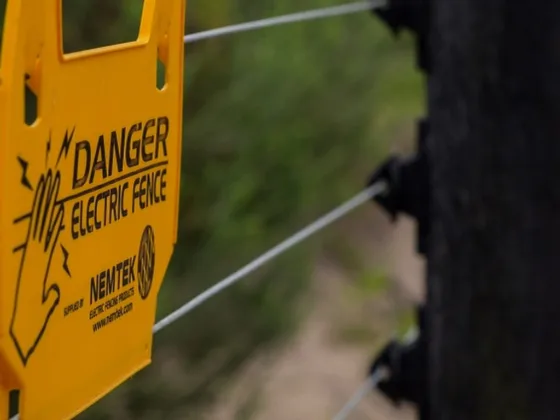 featured image - 4 Benefits of Installing Electric Fences Around Your Farm