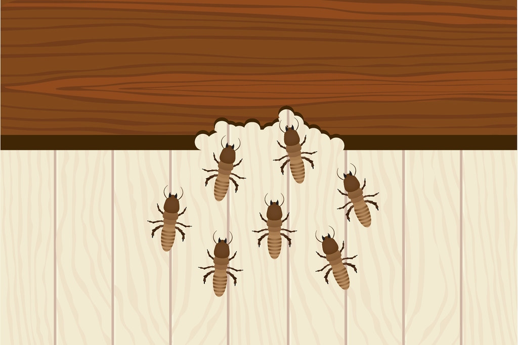 Are Brick Homes at Risk for Developing a Termite Infestation? image - Are Brick Homes at Risk for Developing a Termite Infestation?