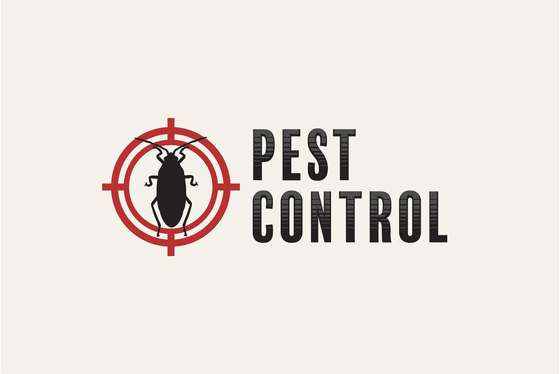 image - Five Things You Need to Know About Pest Control