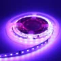 featured image - Flexible LED Strip Lighting for Home Lighting Applications
