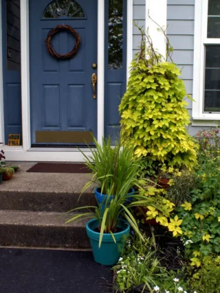 featured image - Here are the 6 Beautiful Types of Front Doors Perfect for Your Home