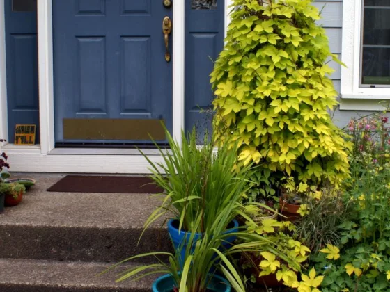 featured image - Here are the 6 Beautiful Types of Front Doors Perfect for Your Home