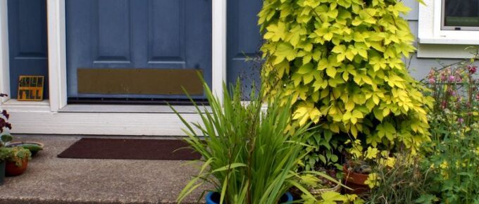 Here are the 6 Beautiful Types of Front Doors Perfect for Your Home