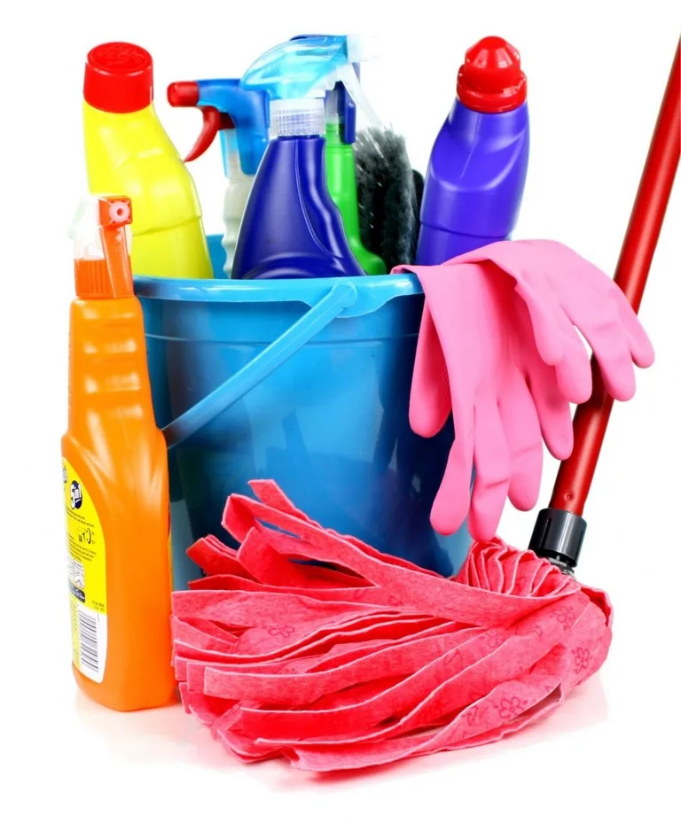 featured image - How Different Tools Helps You in Cleaning Home