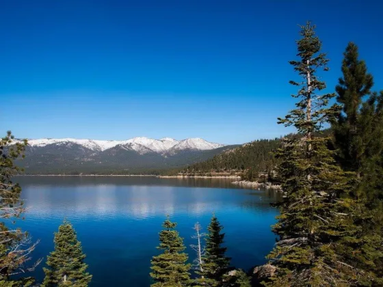 featured image - How to Effectively Manage a Large Lake System