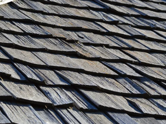 featured image - Roofing Types You Need to Know Before You Get a New Roof