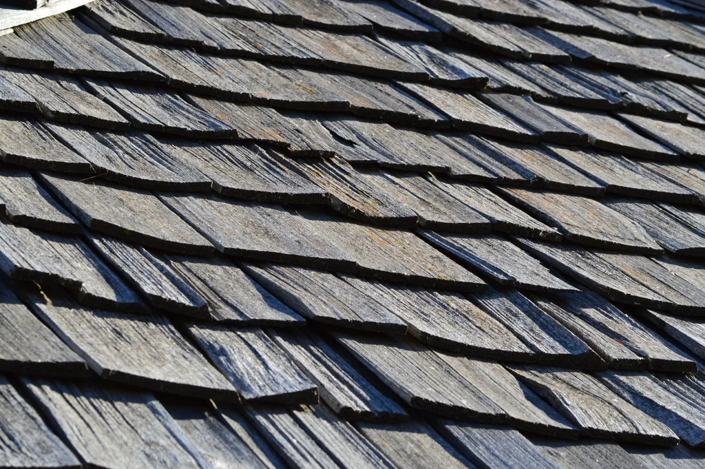 featured image - Roofing Types You Need to Know Before You Get a New Roof