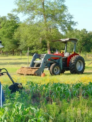 featured image - The Importance of Cultivation in Farming and Gardening