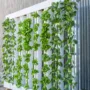 featured image - Utilizing Your Indoor Space for Vertical Farming + How to Make It Look Aesthetically Nice