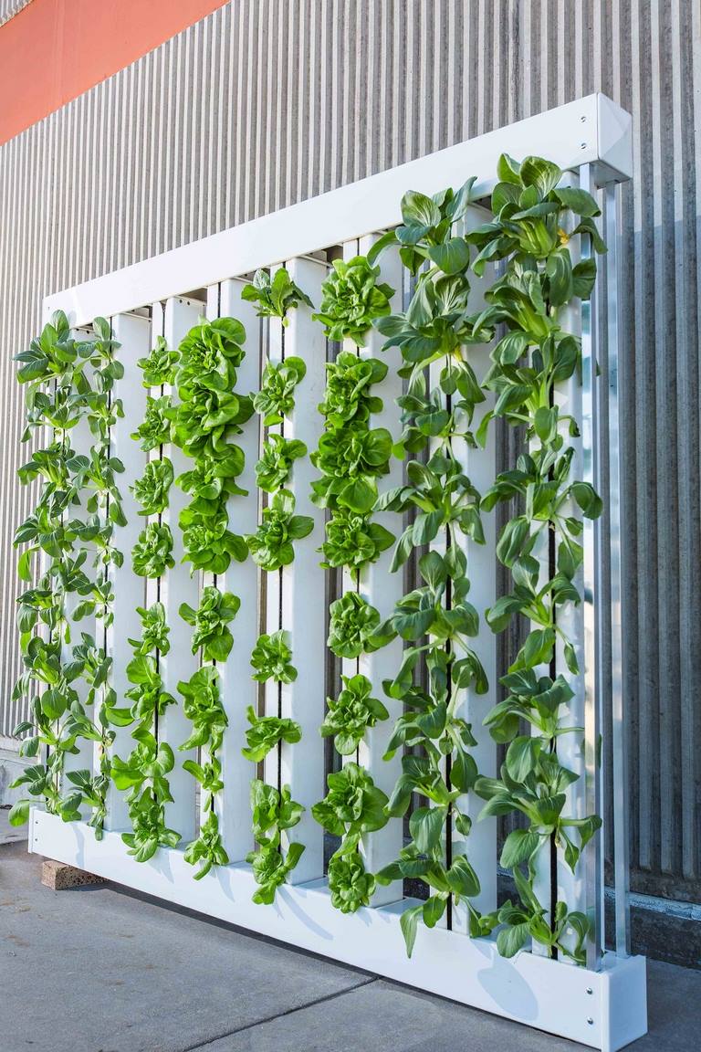 Utilizing Your Indoor Space for Vertical Farming + How to Make It Look Aesthetically Nice image - Utilizing Your Indoor Space for Vertical Farming + How to Make It Look Aesthetically Nice